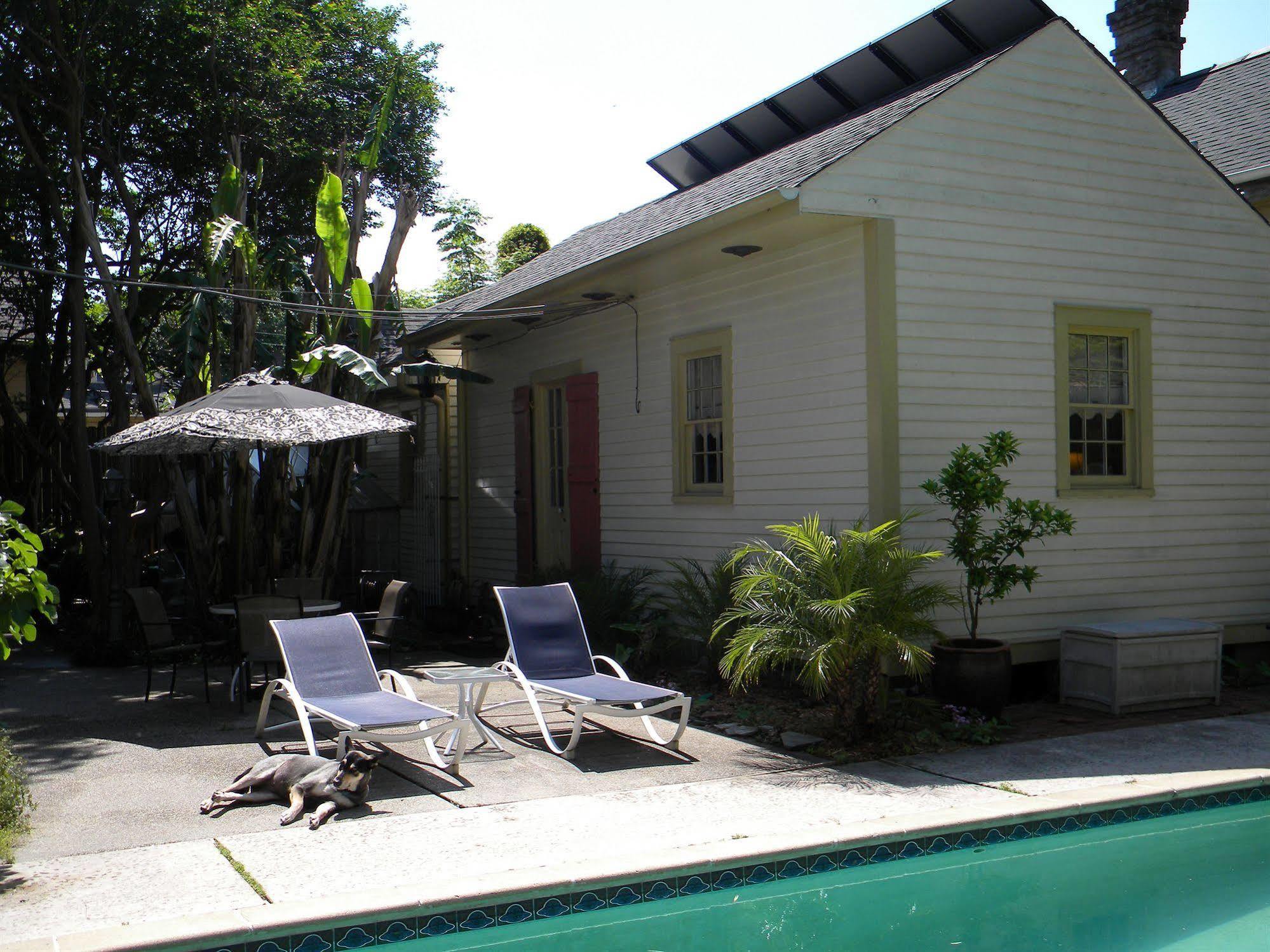 Maison De Macarty Bed & Breakfast New Orleans Exterior foto